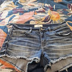 Buckle Cutoffs Size 28