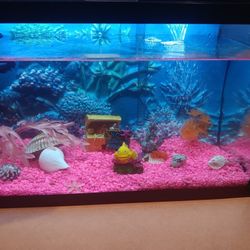 Nemo Fish Tank 