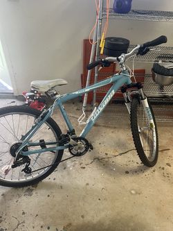 Mountain bike