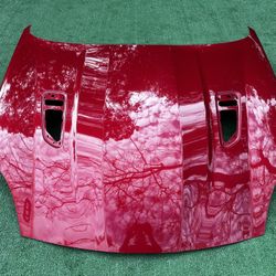 Jaguar F Type Hood Capo 2014 2015 2016 2017 2018 2019 2020