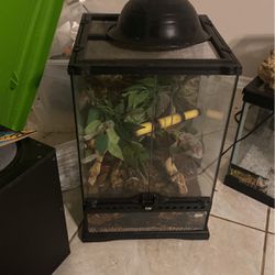 Terrariums - Different Sizes And Prices