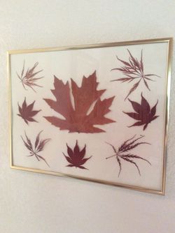 Fall Wall Decor