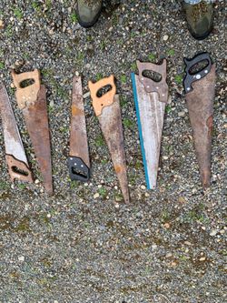 Saw blades. 20 bucks for all