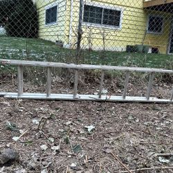 ladder