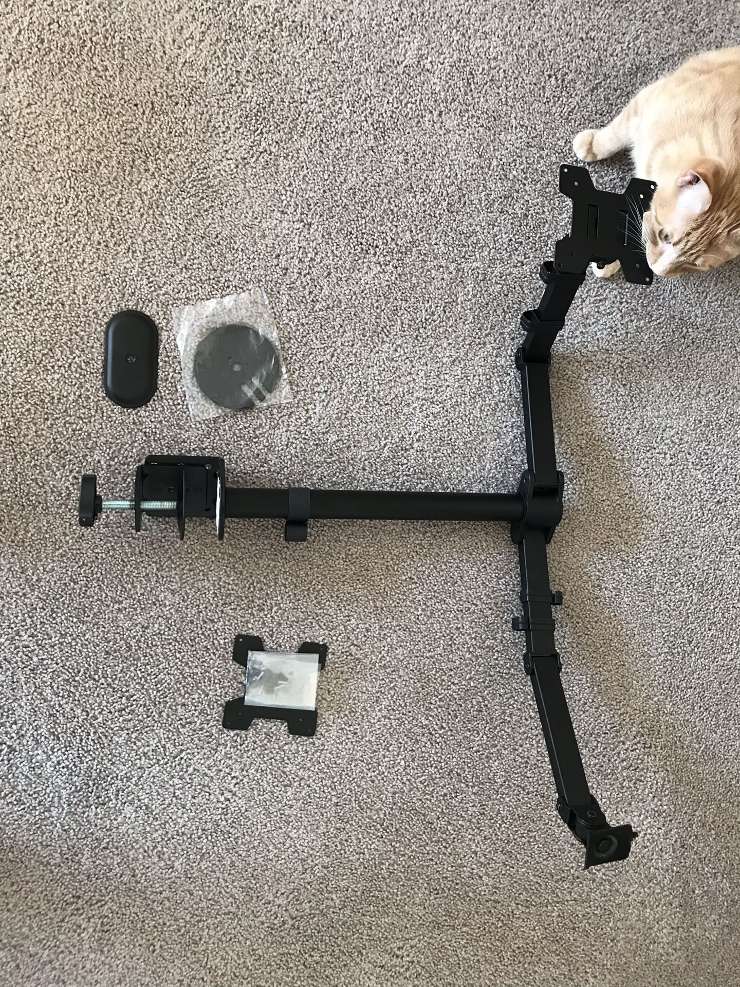 Dual monitor mount