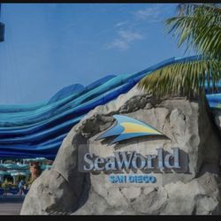 Seaworld Tickets