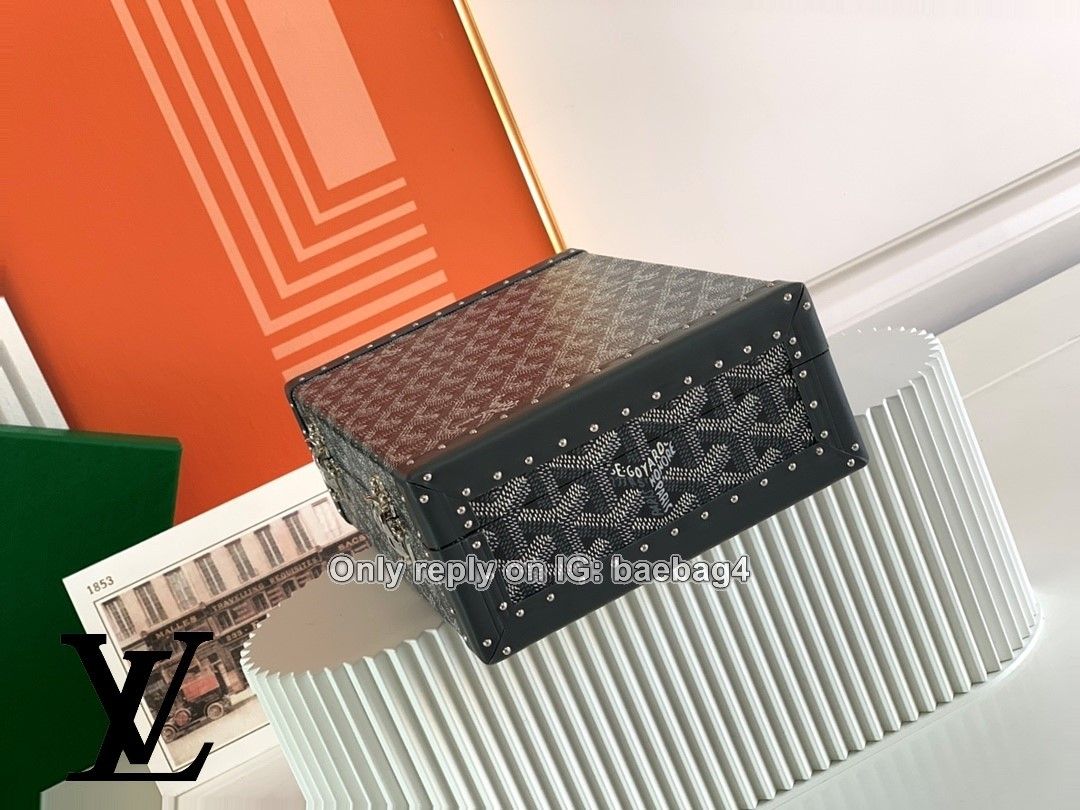 Goyard Bags 111 never used