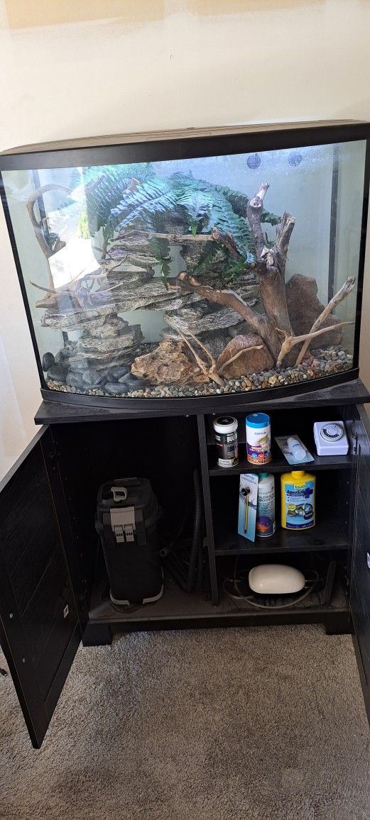 38 Gallon Fish Tank 