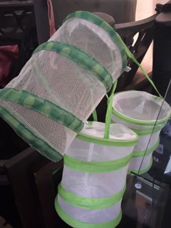 Insect cages