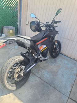 French Bull Dog Ask For Pictures