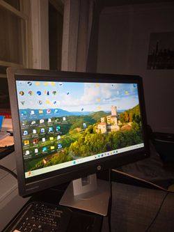 HP EliteDisplay 24' monitor