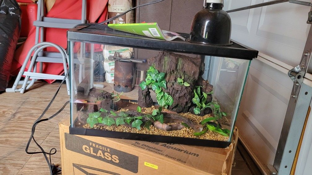 Reptile Tank With Accessories