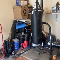 Everlast Punching Bag