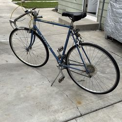 Raleigh Road Bike