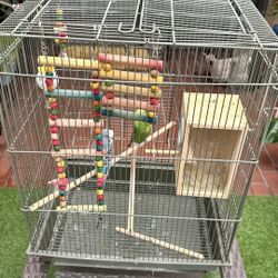 Cage and Parakeet Couple