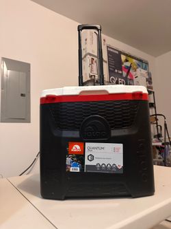 Ice chest