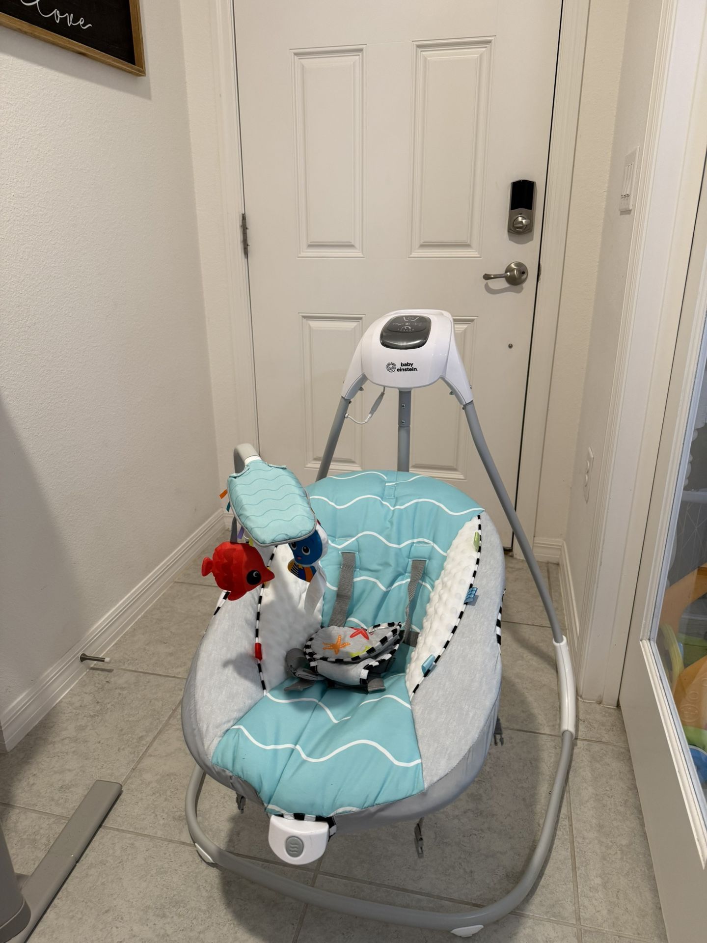 Baby Einstein Swing