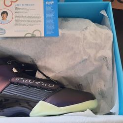 Brand New Nike Jordan 17 X Doernbecher Size 11