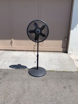 Fan 