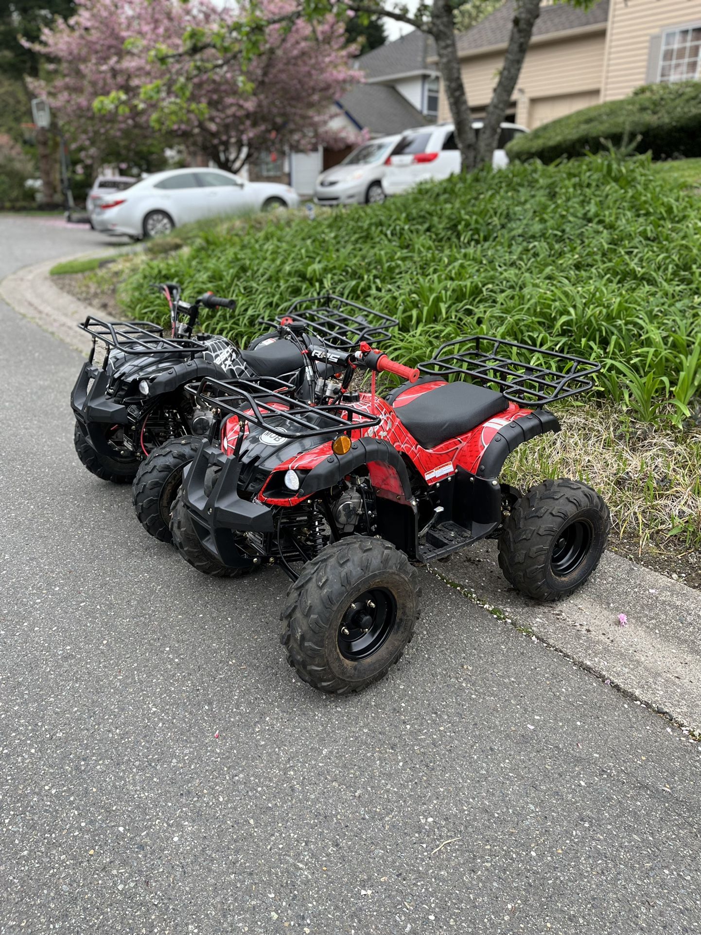 tao tao 125cc