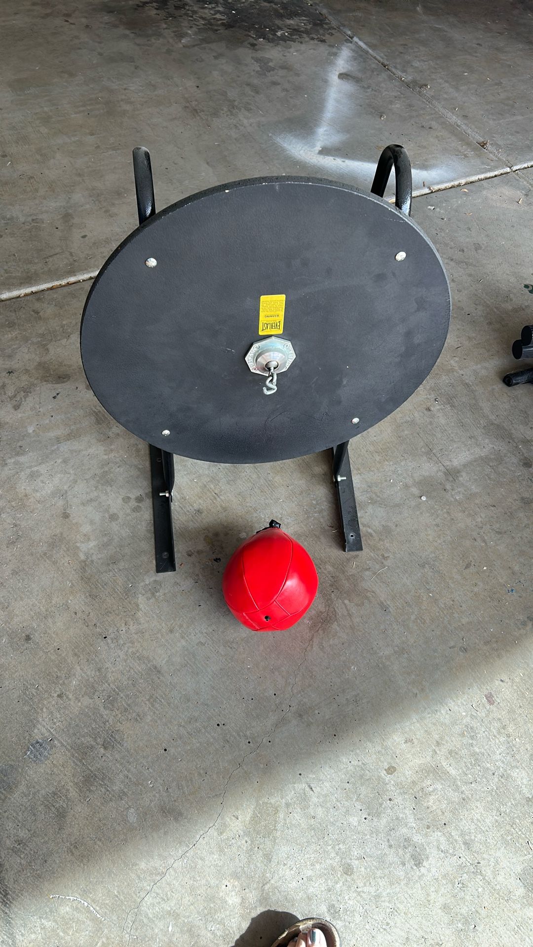 Boxing Speed Bag Plus Wall Mount