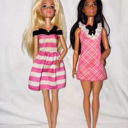 Barbie Duo Barbies Set