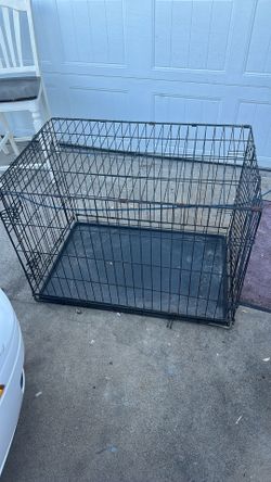 36x24 cage