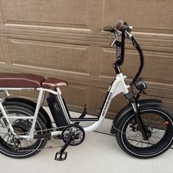 RadRunner Plus Electric Utility Bike