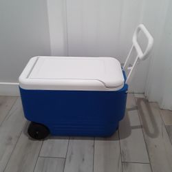 Cooler 48 Qts 