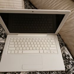 OLD SCHOOL MAC BOOK PRO WAS RUN GD FEW MONTHS AGO NOW NEEDS 1 BATTERY AN CHARGER 40 FIRM NO LESS 