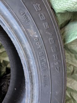 Tier