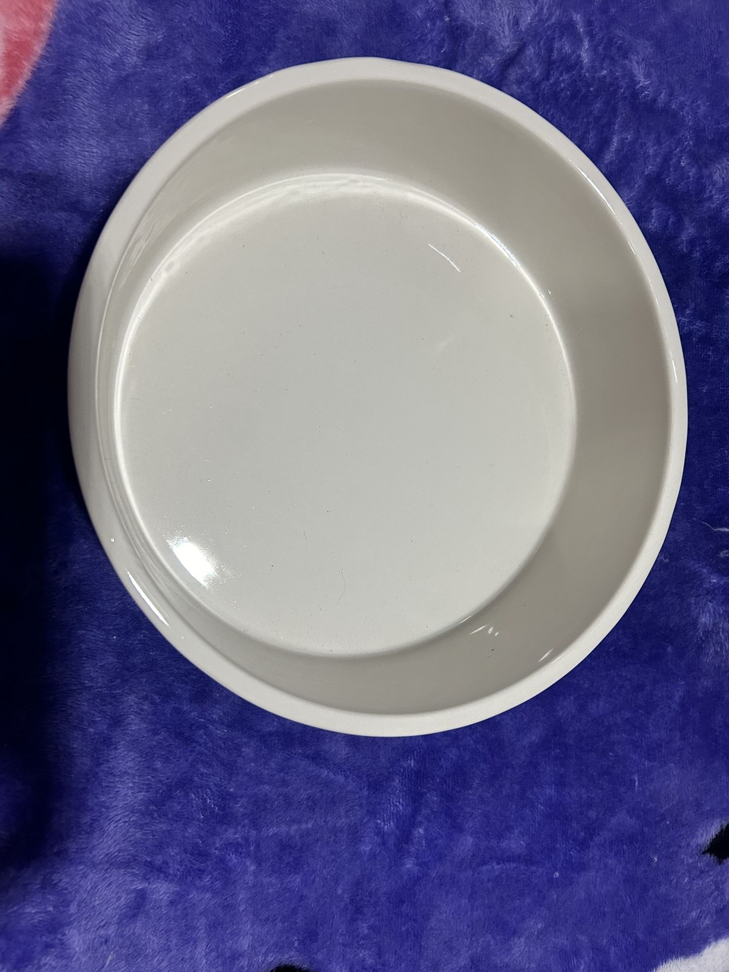 doggy bowl
