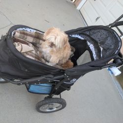 Pet Gear - Small - Medium Dog Stroller 