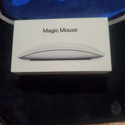 Magic Mouse 