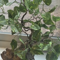 Copper Tree