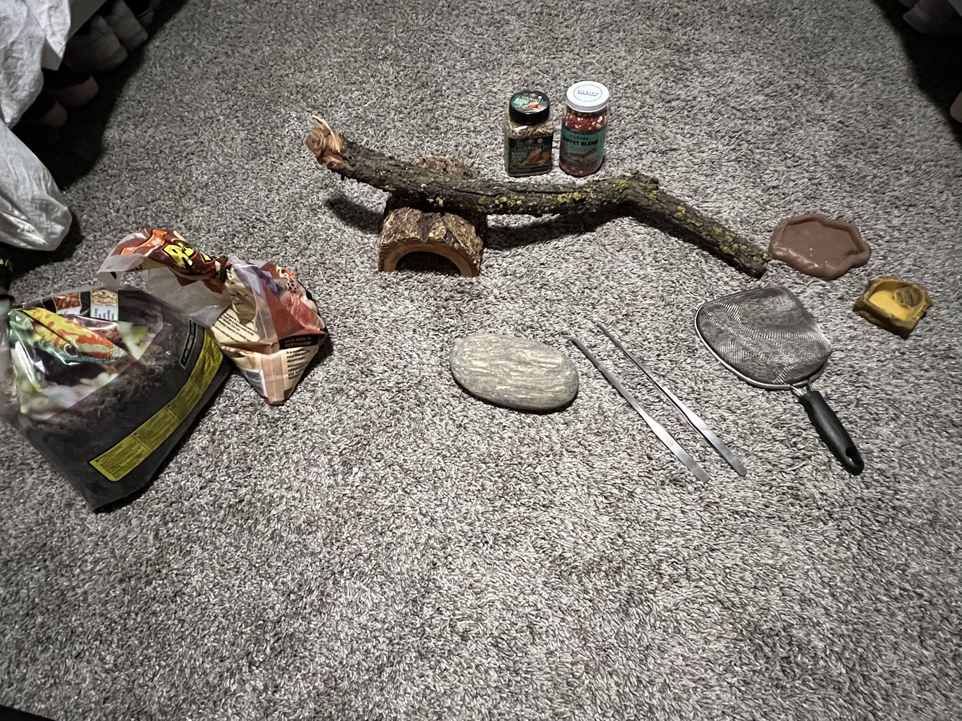 Reptile supplies - B Dragon - Lizards