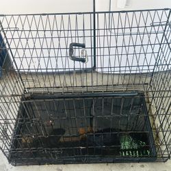 Dog Cage 