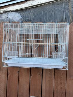 Jaula Nueva 