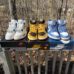 Jordan 1 & 4 Lot Size 10