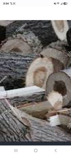 Free firewood