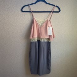 TOBI Colorblock Slip Lace Dress - Blush / Grey / Beige