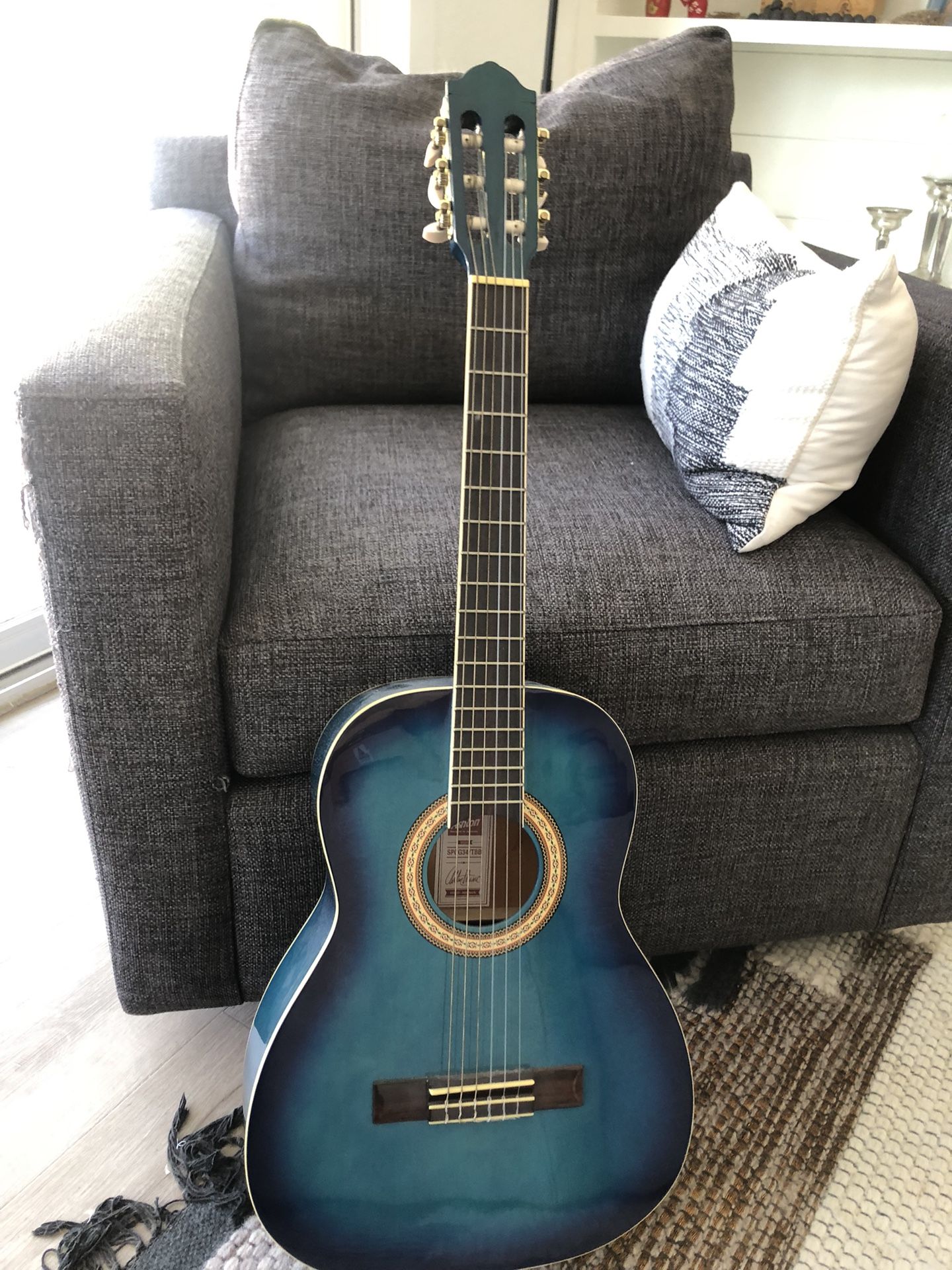 Guitar w Bag/Tuner/Stand