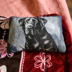 Labrador pillow