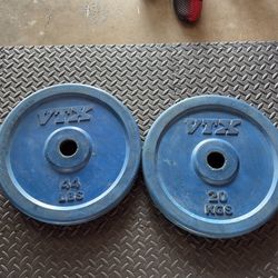 Pair of 20kg/44lbs Bumper Plates