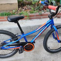 20" Kids Specialized Riprock bike