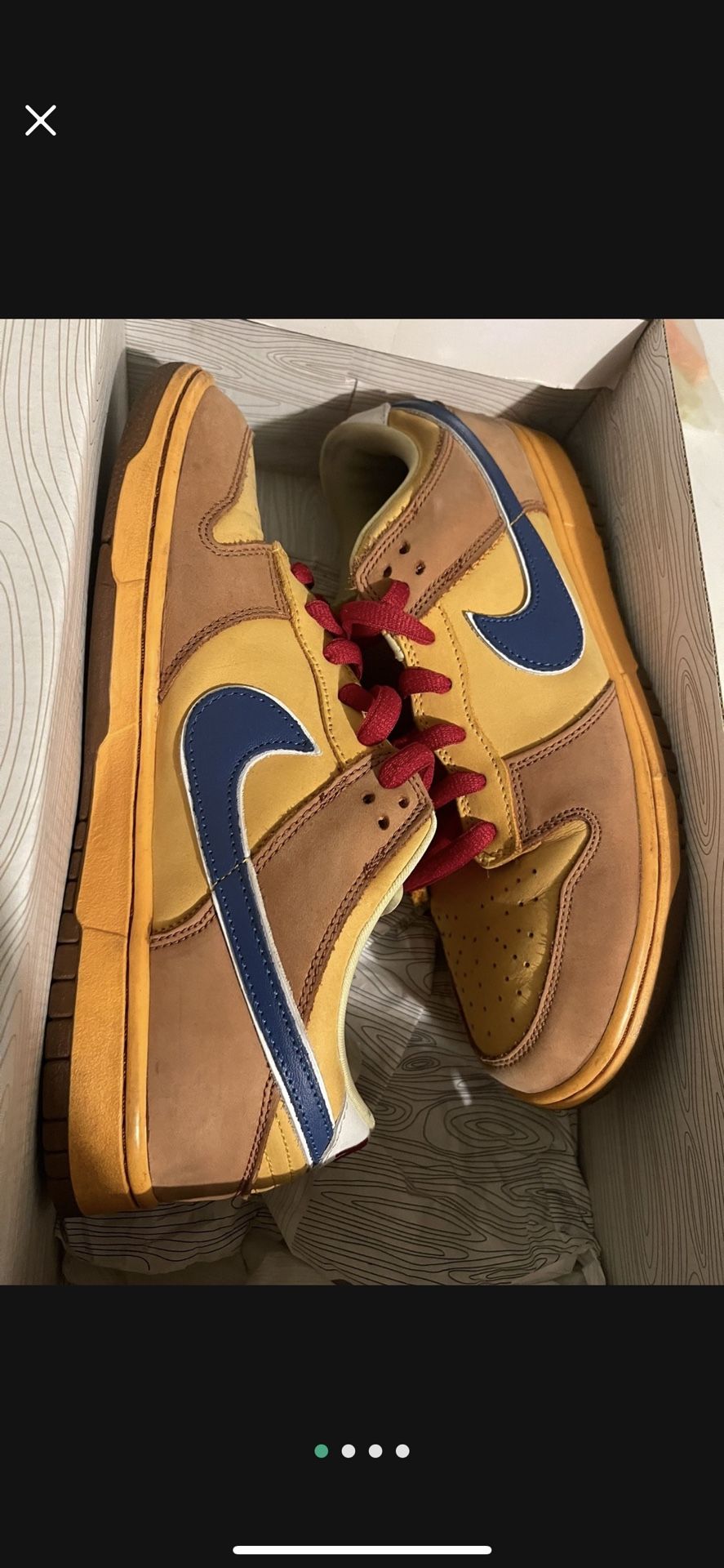 Nike Dunk Sb New Castle Size 10.5