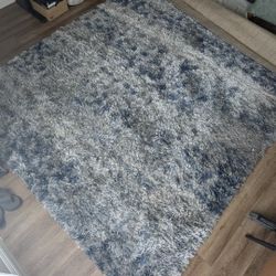 Large Area Shag Carpet Rug