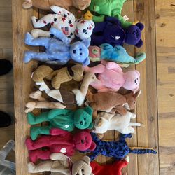 Beanie Baby Collection