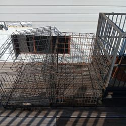Animal Cages