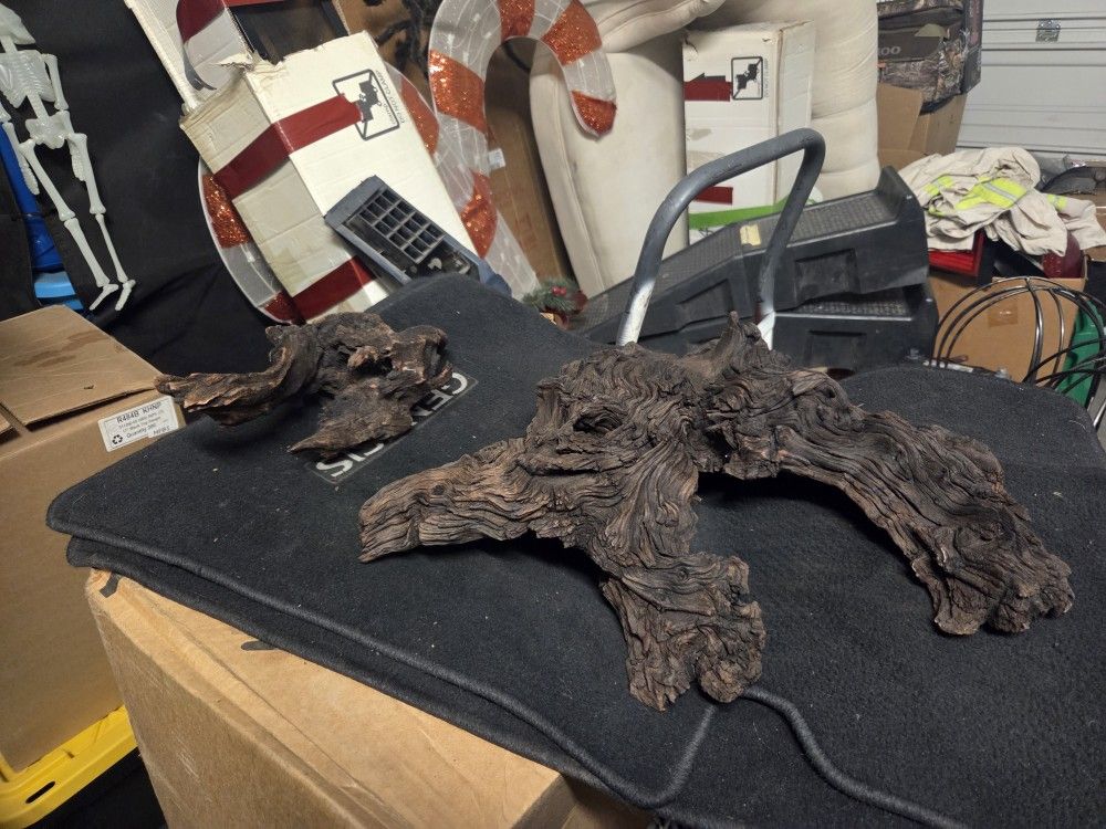 Aquatic Driftwood